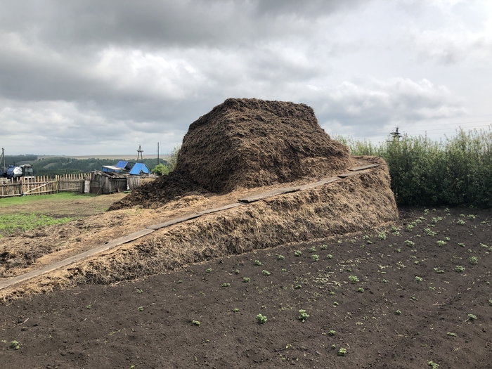 Все бундуют и я бундану