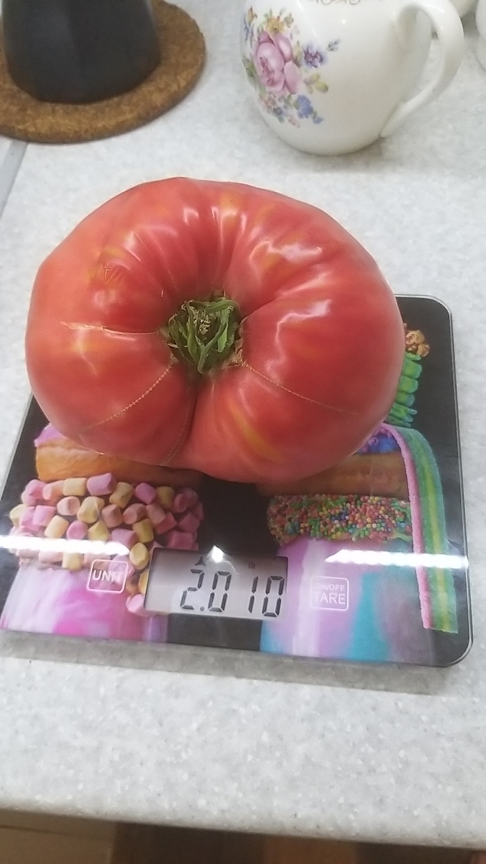����� �� ���� �����