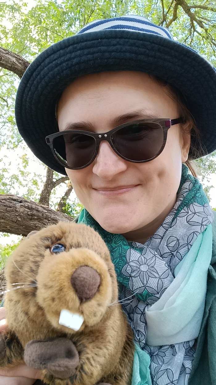 Путешествие бобра Путешествия, Бобры, Природа, Фото на тапок, Длиннопост