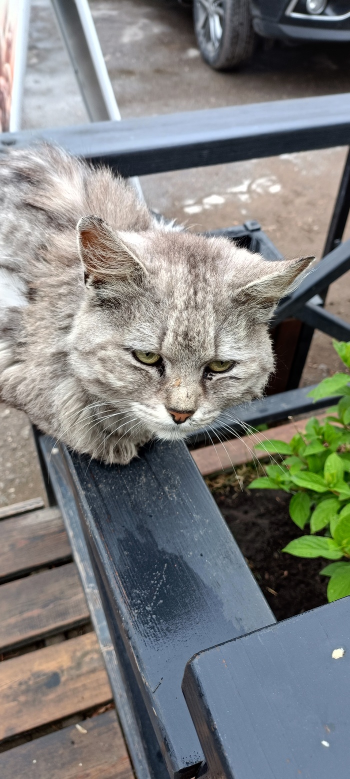 ��� ���� ������ ����?