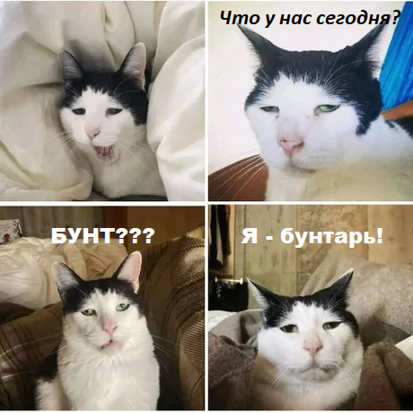 Лига бунтарей