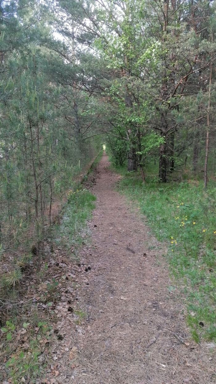 ������ ����