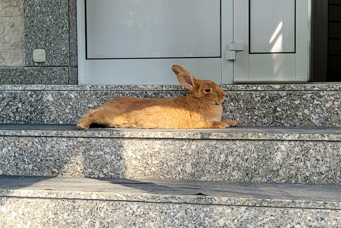 ���������� � �������� �����