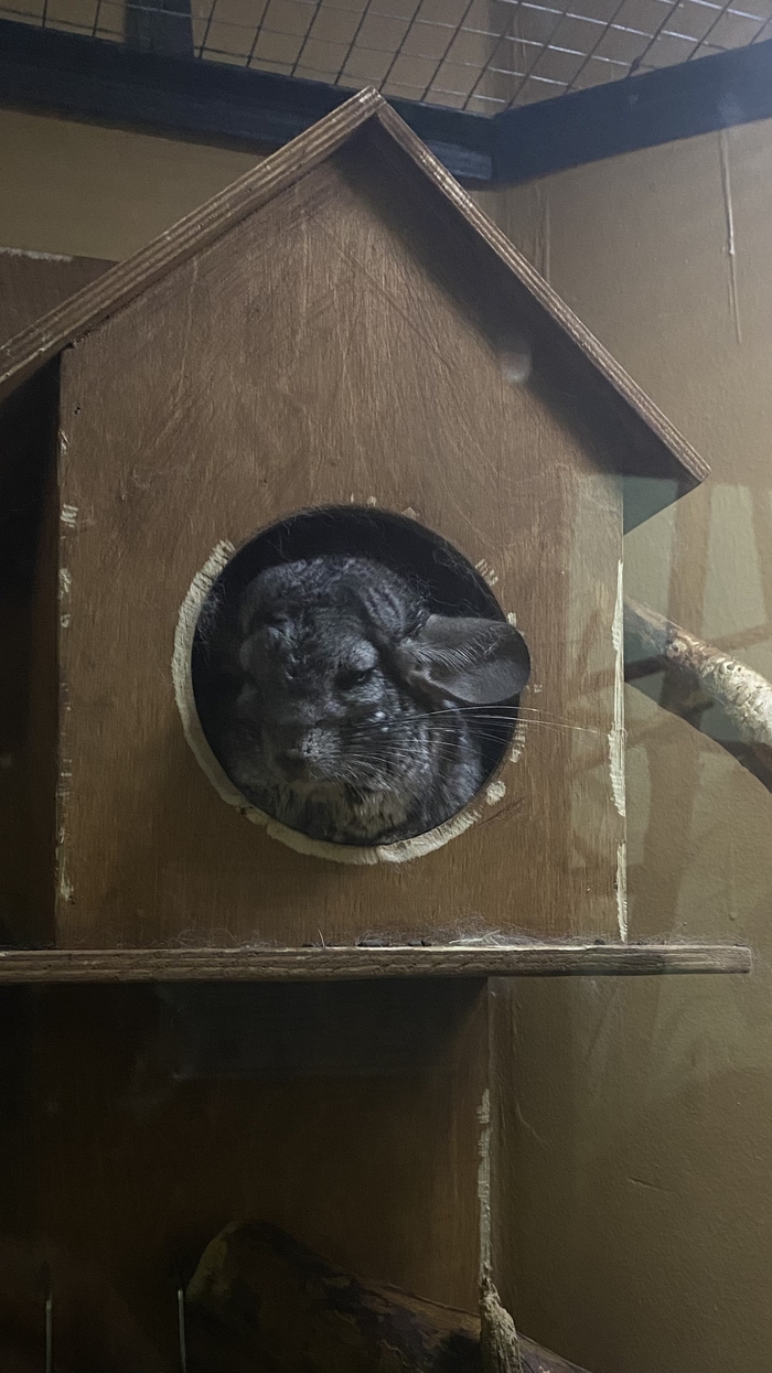 Когда только проснулся и не понимаешь, о каком бунте все вокруг говорят