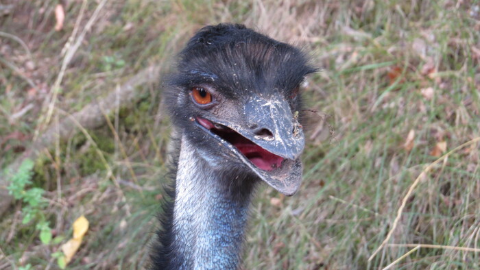 ����? ����� ����� ����?