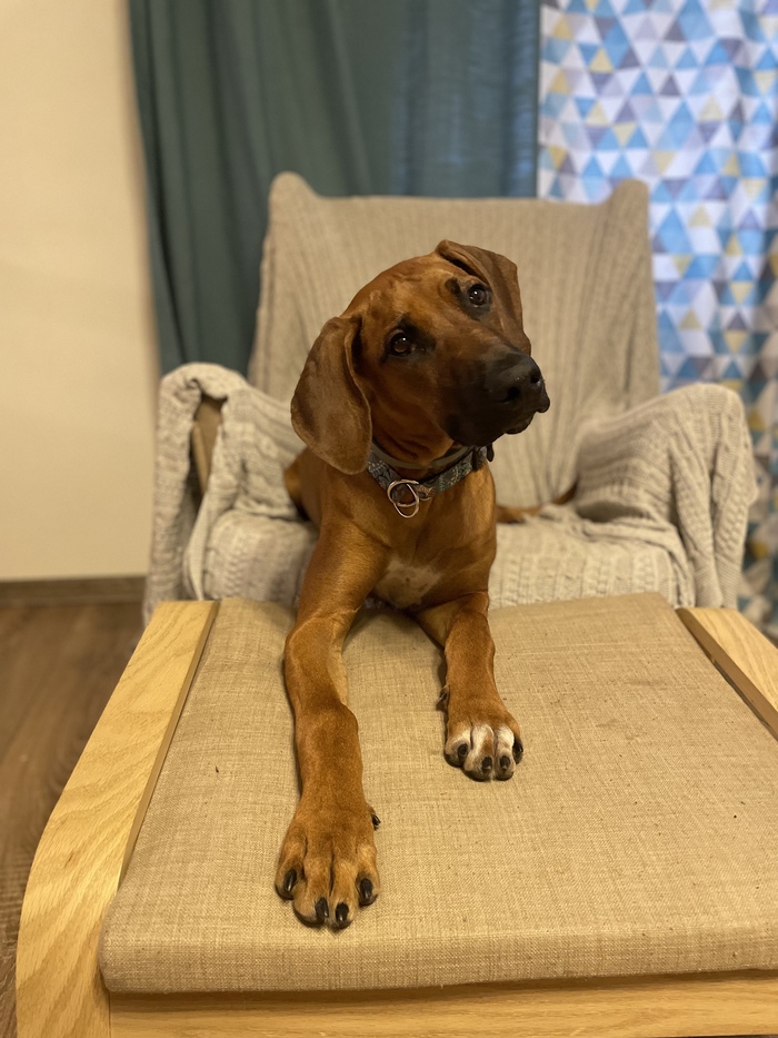 А мне плюсик можно?