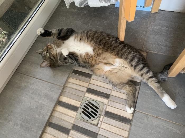 Беру огонь плюсометов на себя