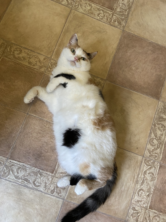 ���� ��� ����!