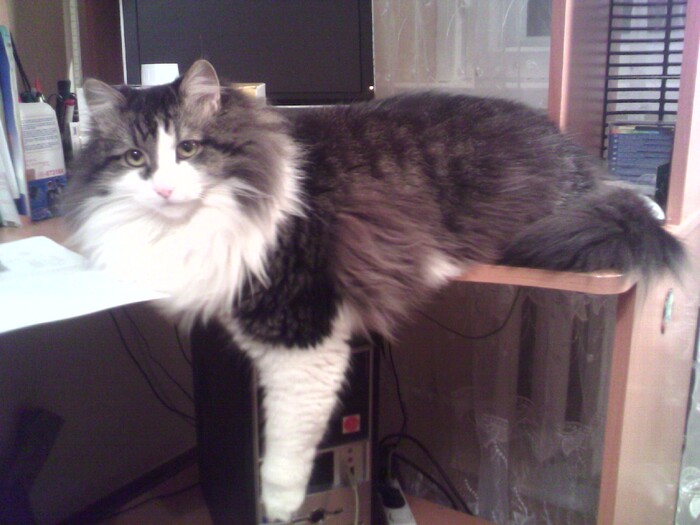 � � � ����!