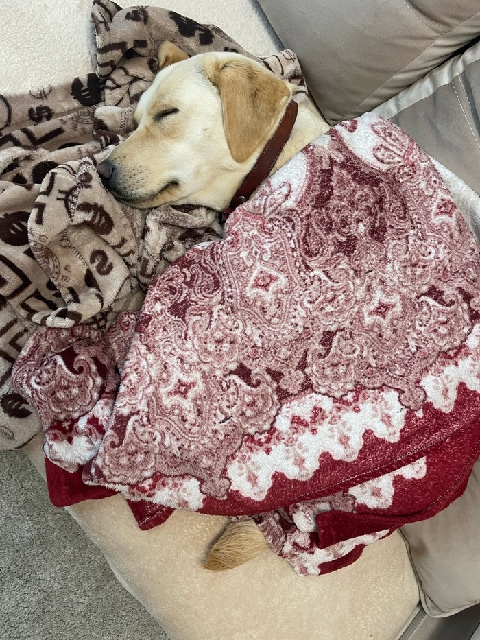 � � ����...