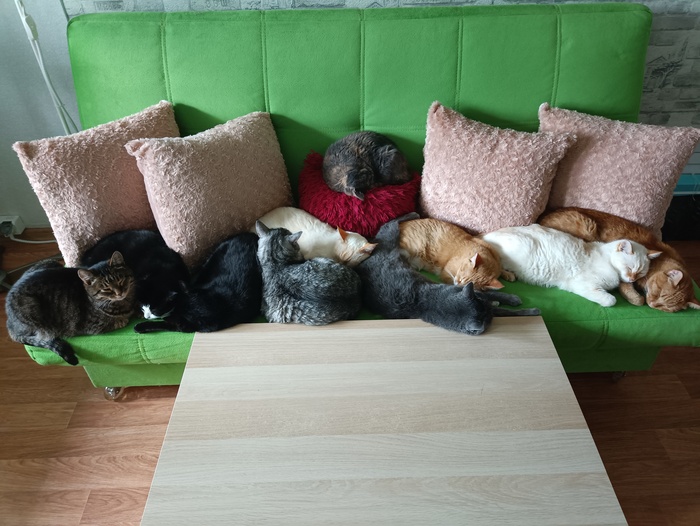 �� ����� �����, � ���� ����. ���� ����� �����