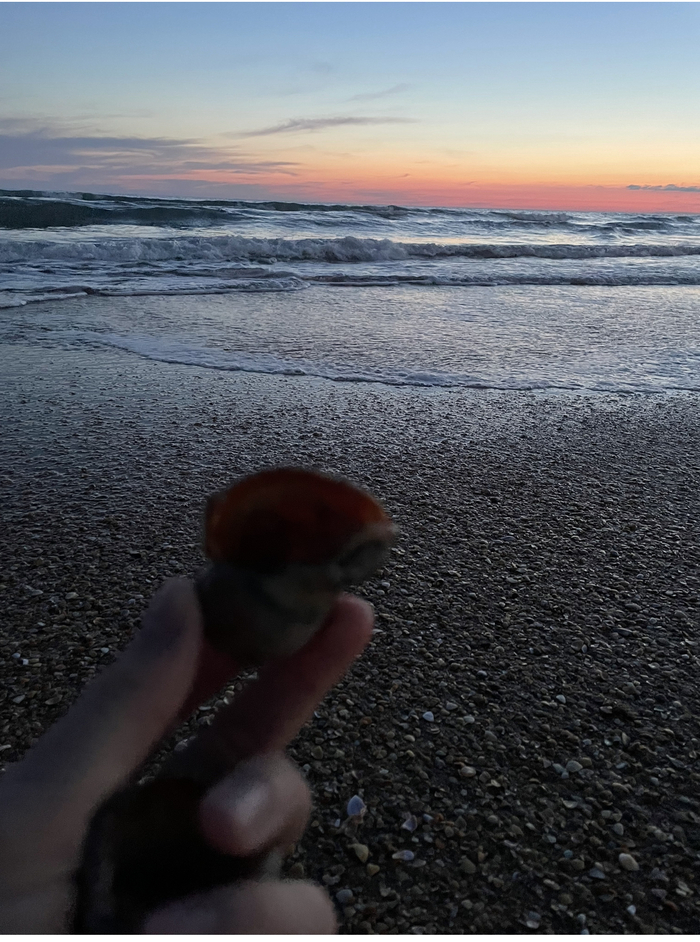 ������������ �����