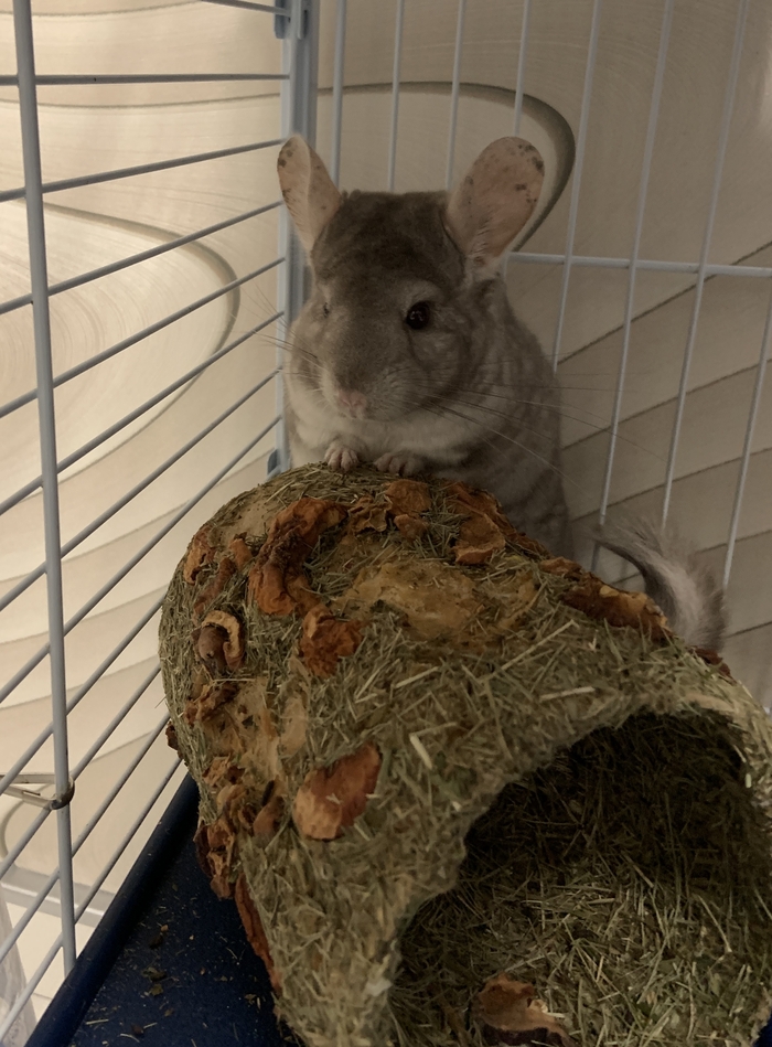 � ����� ���� ������� �� ����� �����?