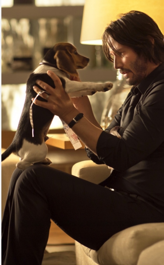 Хомячий бунд!