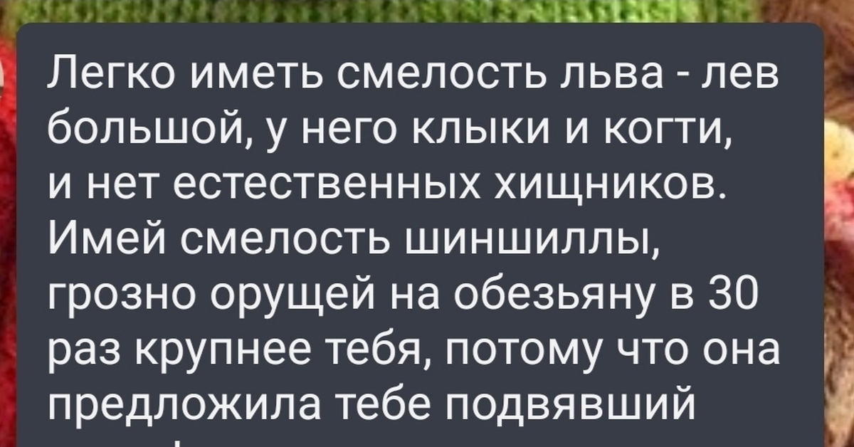 О смелости и размерах | Пикабу