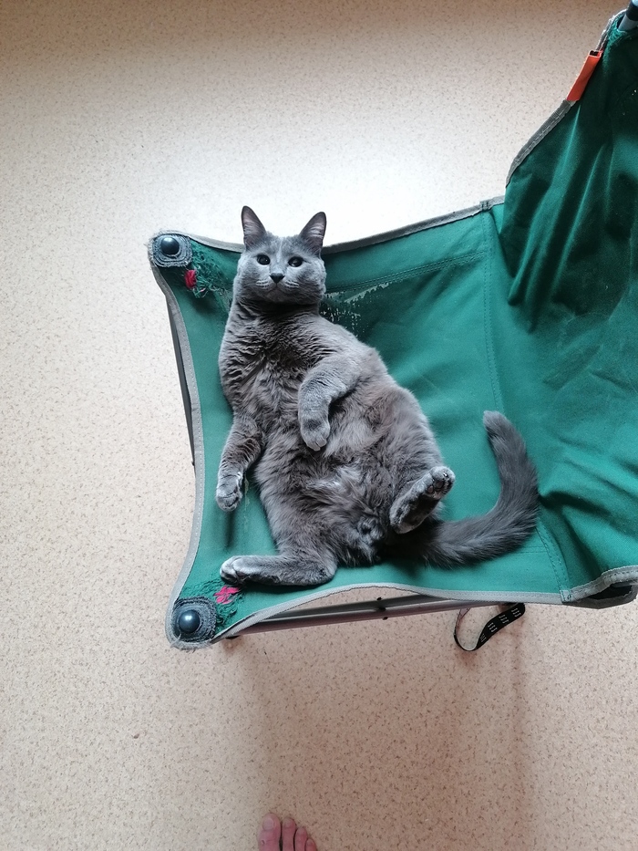 Сильвер тоже бунтарь