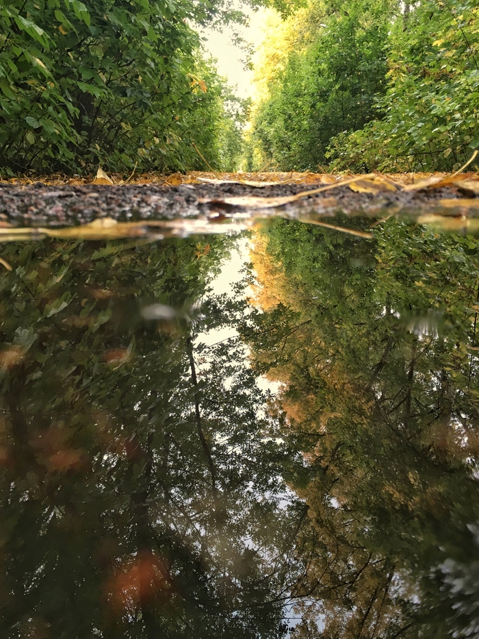 Старая аллея