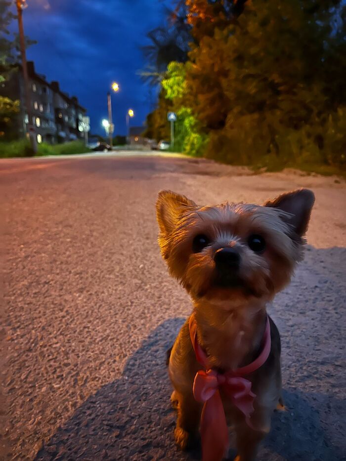 Как всегда:(