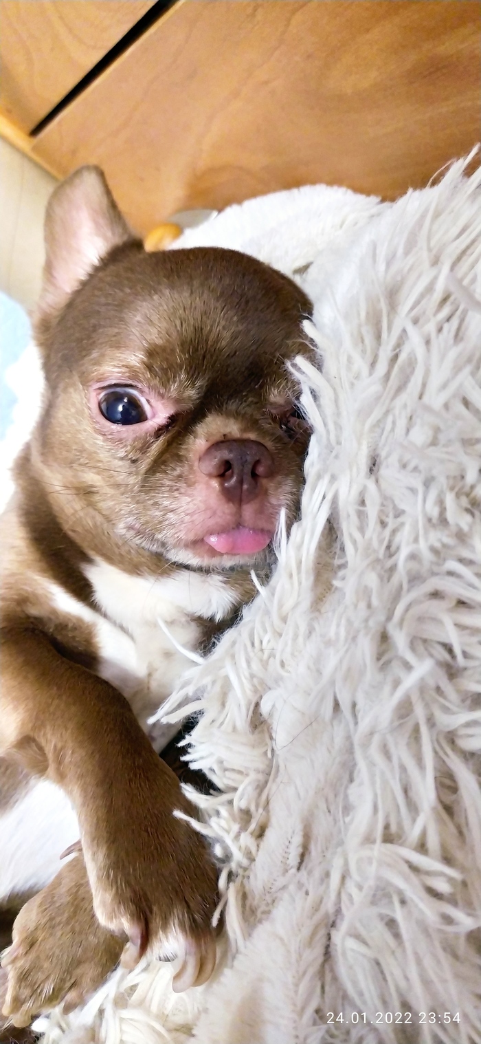 Бунд! А завтра будут отдыхать от пикабу