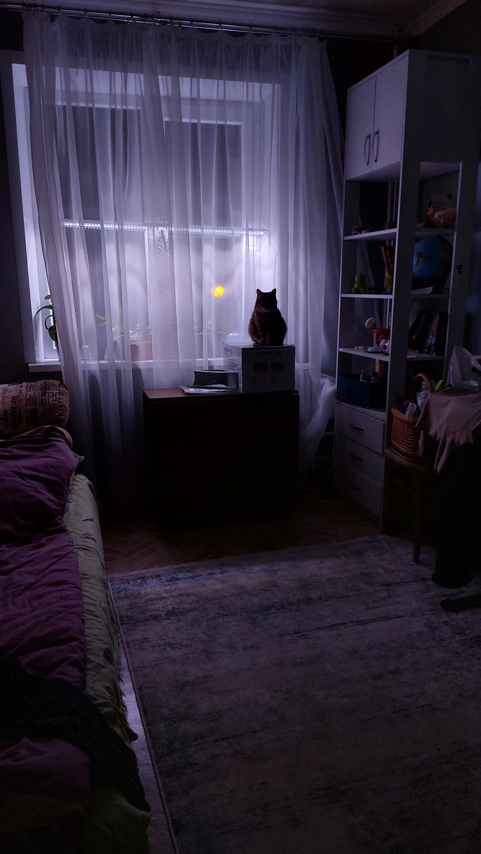 ��� ����� �� �����