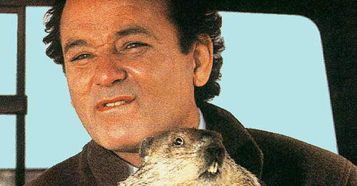 День сурка сегодня. Билл Мюррей и сурок. День сурка фильм 1993. Bill Murray Groundhog Day. Фил Коннорс день сурка.