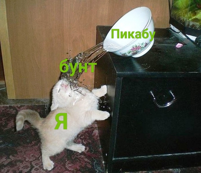    , , 