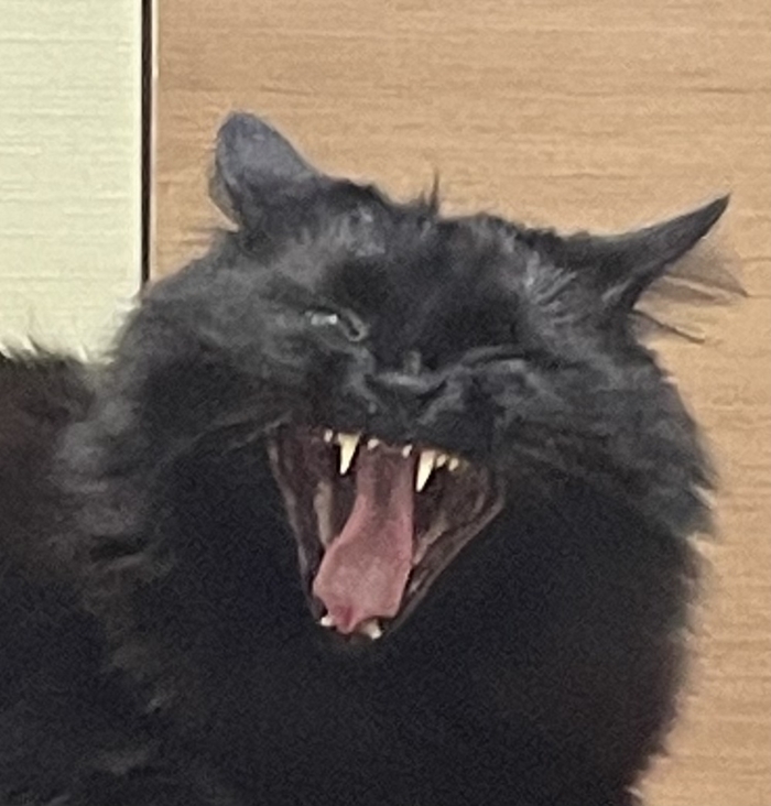 ��� ��� ��� ������� �� ��� ������������