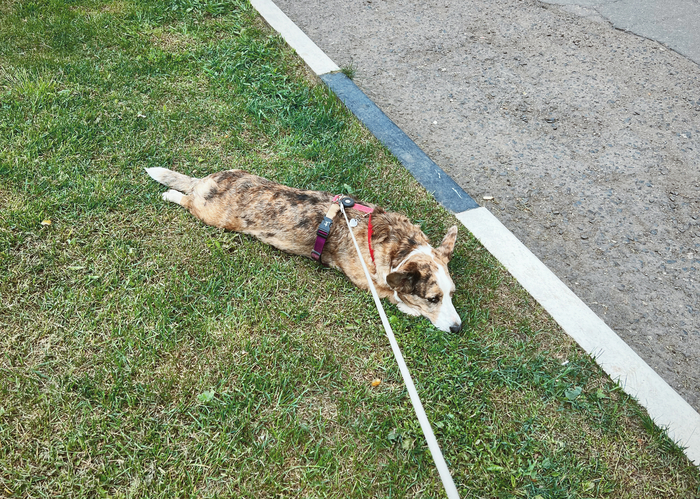 �� ��� �� ������ � ������