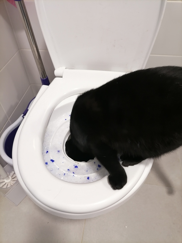 ��� ��� ����?