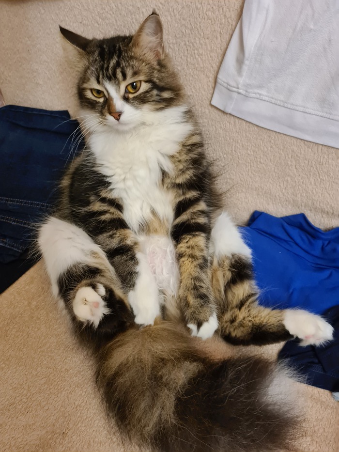   , , , , 