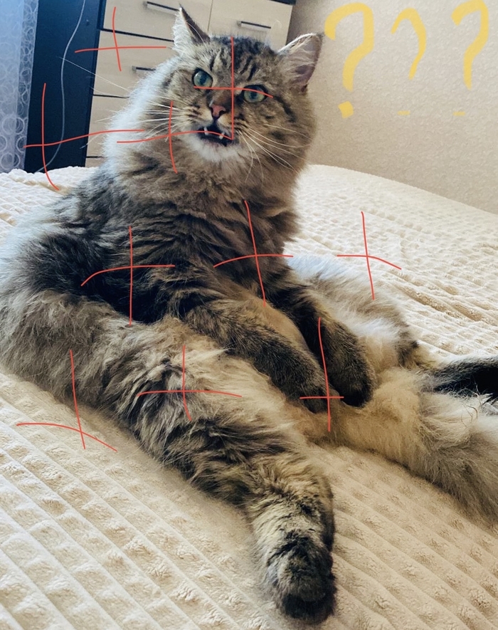 ����� � ���� ����� �� ������