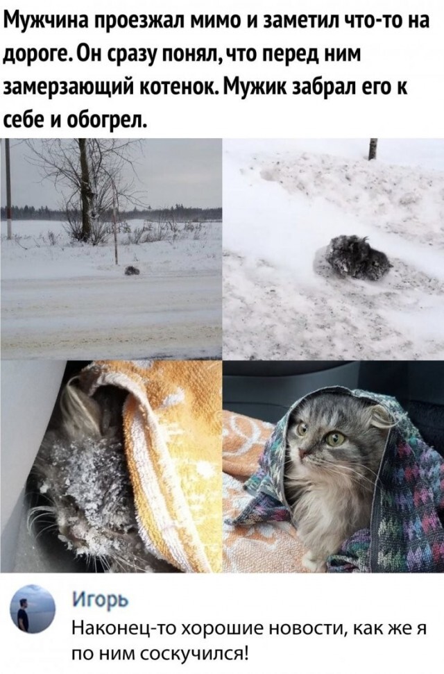 ������� �������