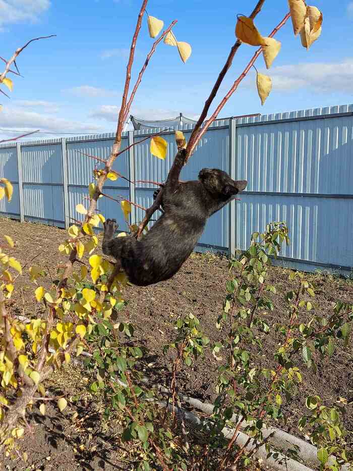 Немного бунта в ленту