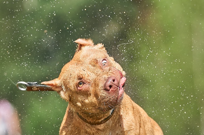 Улыбайтесь, господа!