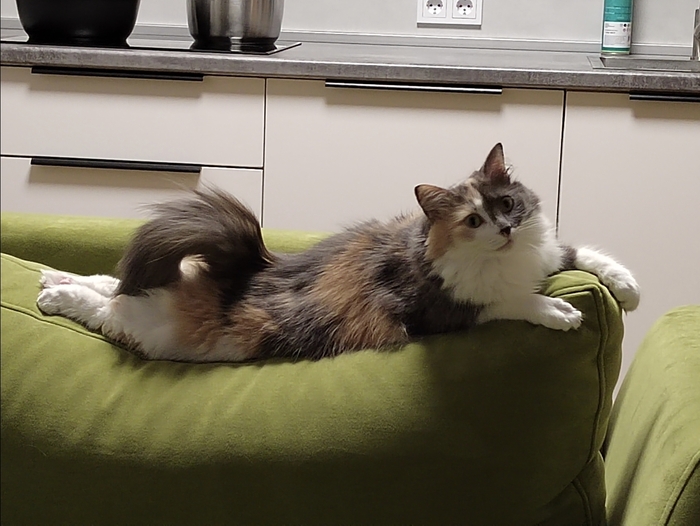 А что у вас тут такое происходит? Очередной бунд?