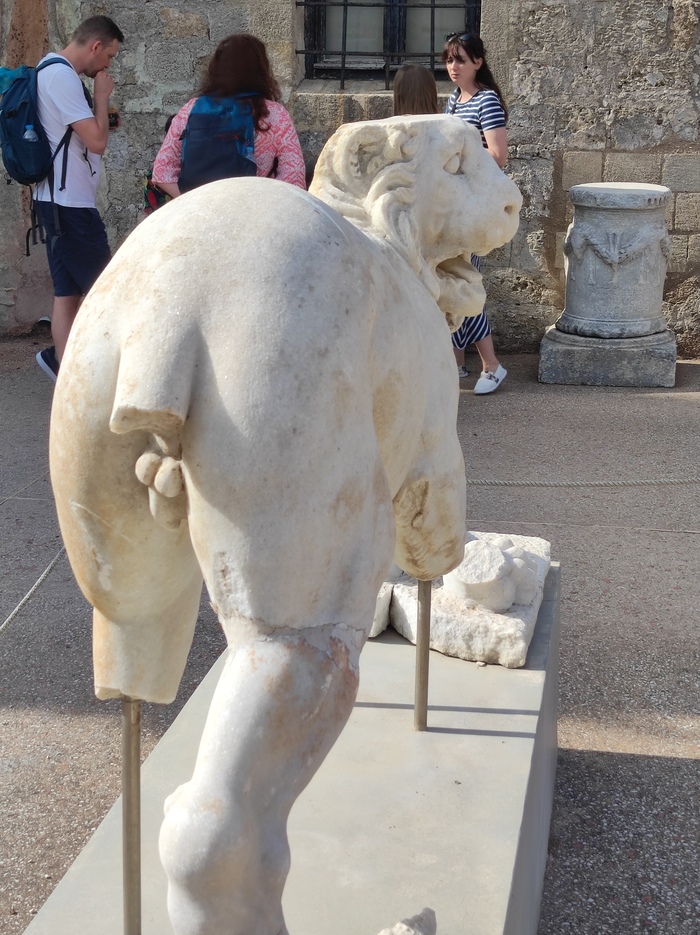 Вторая половинка льва по заявкам трудящихся!