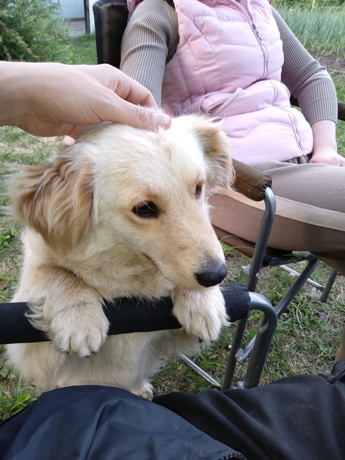 ������� �����