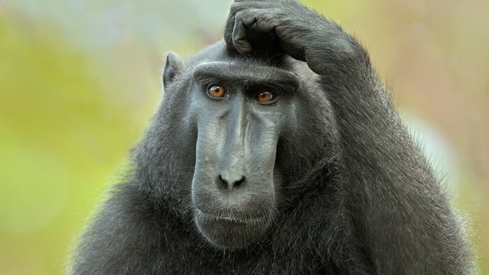 ����? ����!