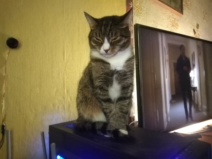 Ҹ  