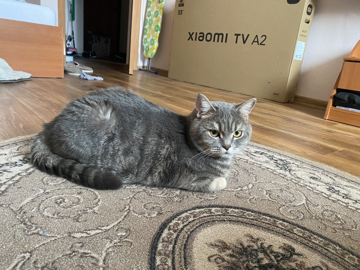 Говножоп тоже среди бунтующих