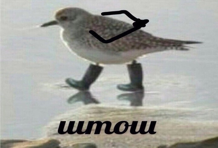   ....   ... ,  