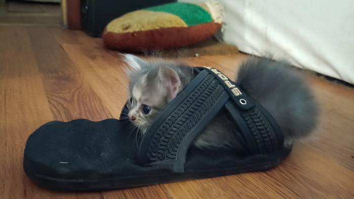 Что здесь происходит...