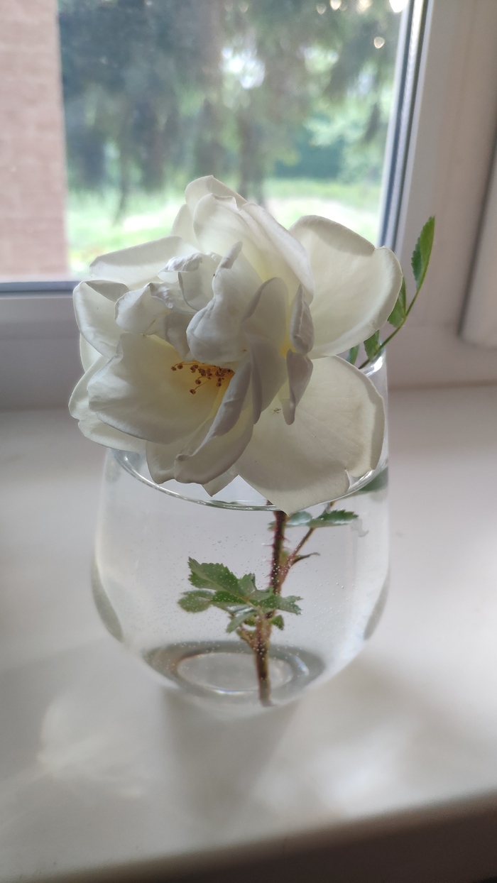 Послебунтовское