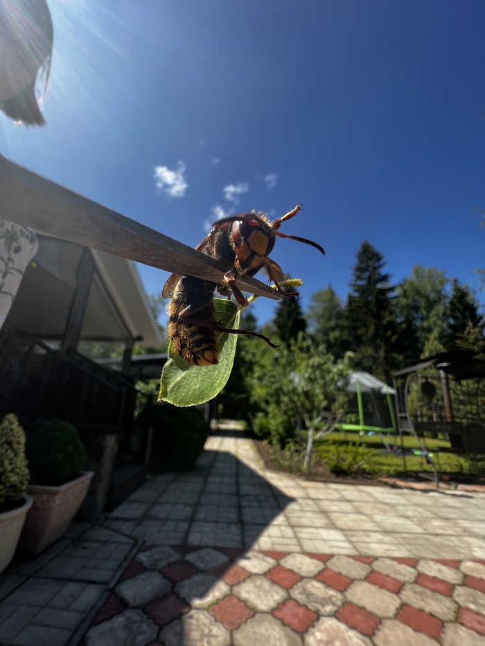 ��� ������ ������ ������� �� ����!