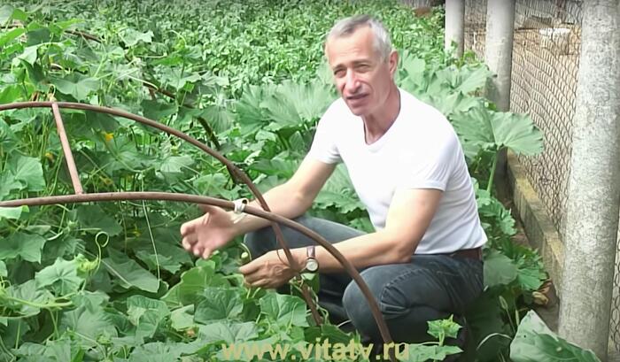 �������� ��������