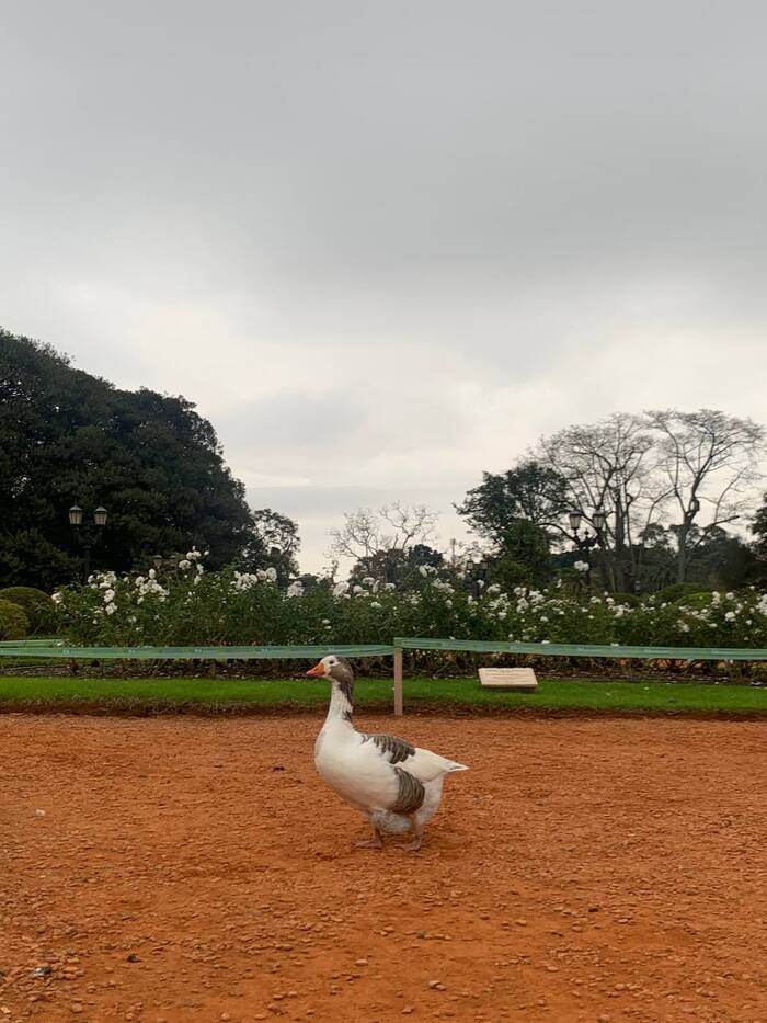 ���� ���� ������� � ��� - �������� ���