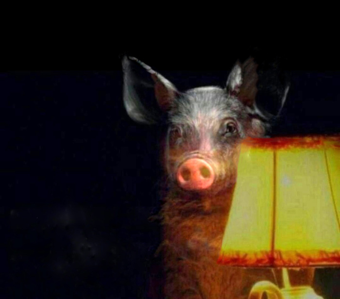 ��� ����� ����