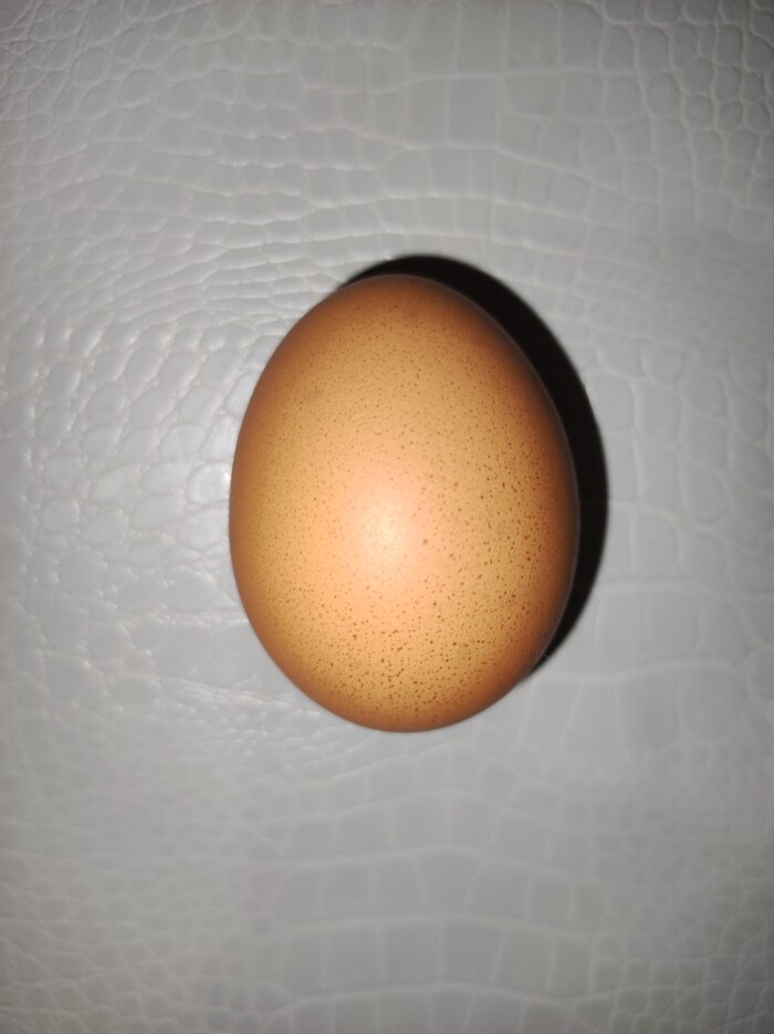 У МТС получилось в 2006 году, может и у меня получится...