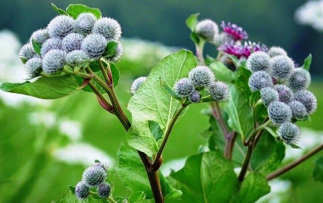 Раз пошла такая пьянка, то и мне плюсиков отсыпьте пжлста