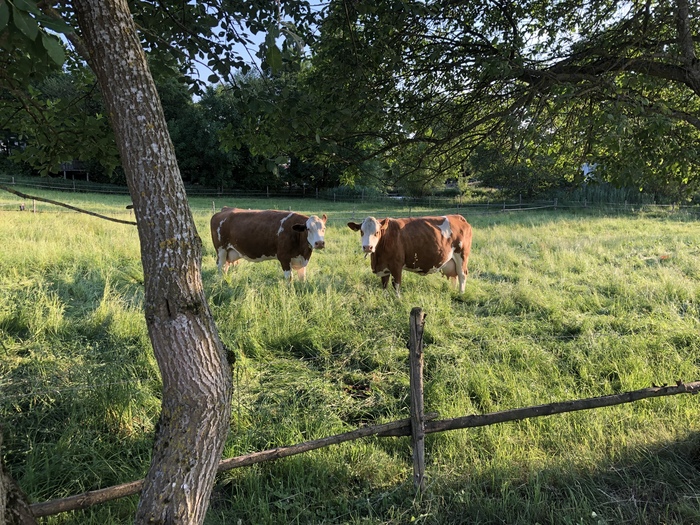 Недавно мне стукнуло 40